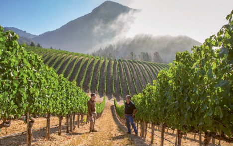 Winemaker Robert Fiore at left with vineyard manager Javier Aviña at right.
