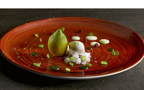 Limón con jugo de albahaca, judía verde y almendra.
