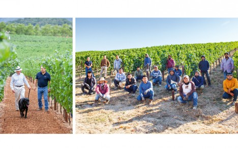 Peter Michael WINERY