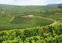 DOMAINE JOSMEYER