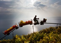 DÉZALEY and the LAVAUX
