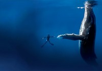Blancpain OCEAN COMMITMENT