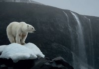FRANZ JOSEF LAND