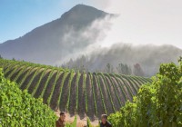 Peter Michael WINERY