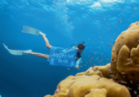 The PADI and Blancpain Partnership TURNS HOPE INTO ACTION
