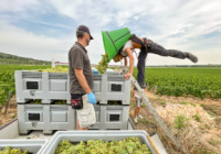 Domaine DUJAC