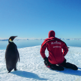 Gombessa expeditions