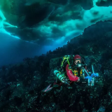 Gombessa III expedition