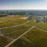 Château Haut-Bailly