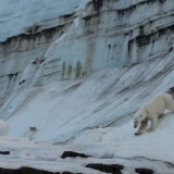Franz Josef Land