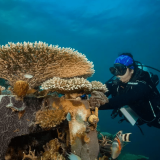 Pangatalan – Sea Academy Project